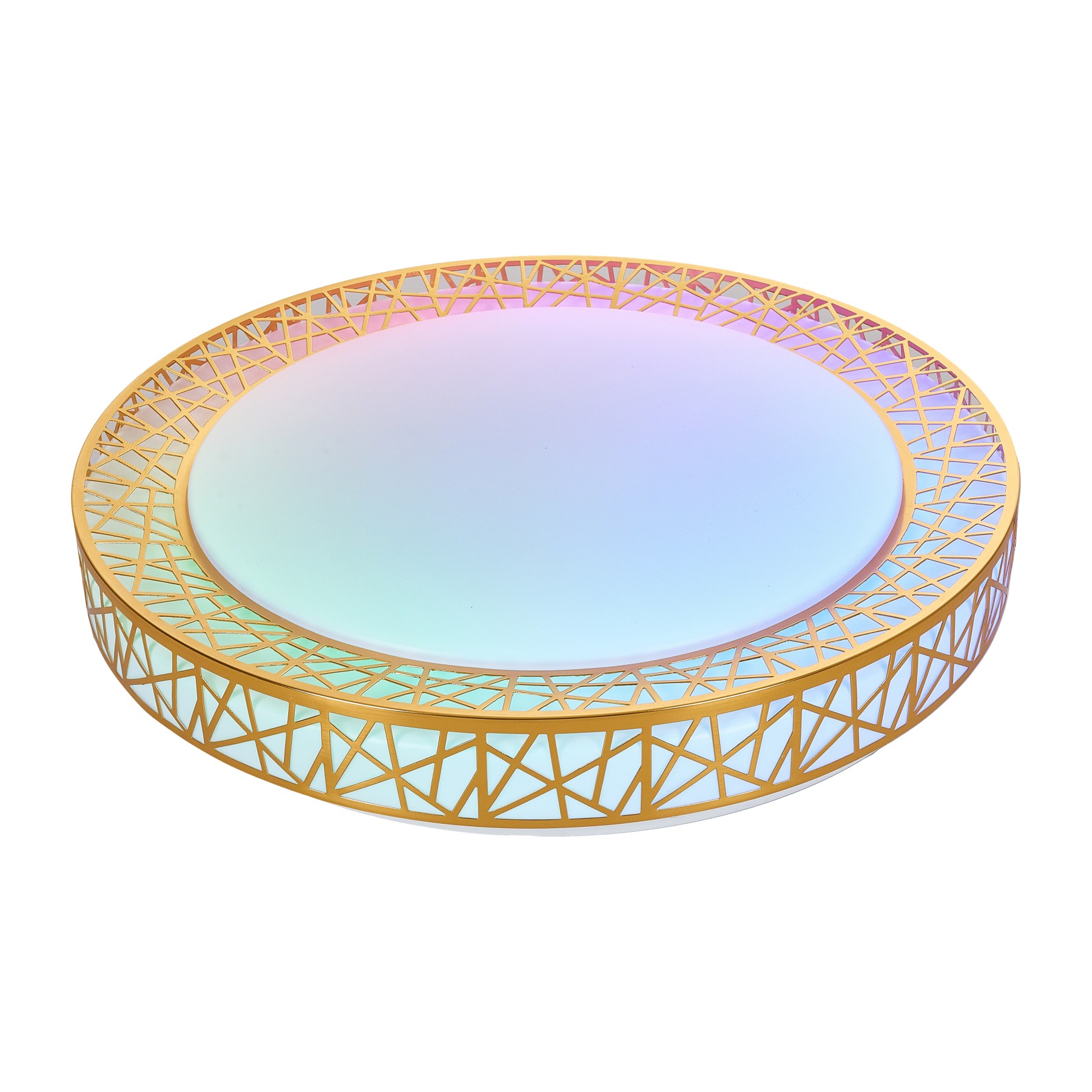 LS-CMT-P369 Artistic Ceiling Light