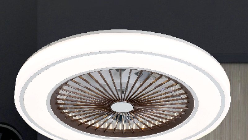 Ceiling Fan Light